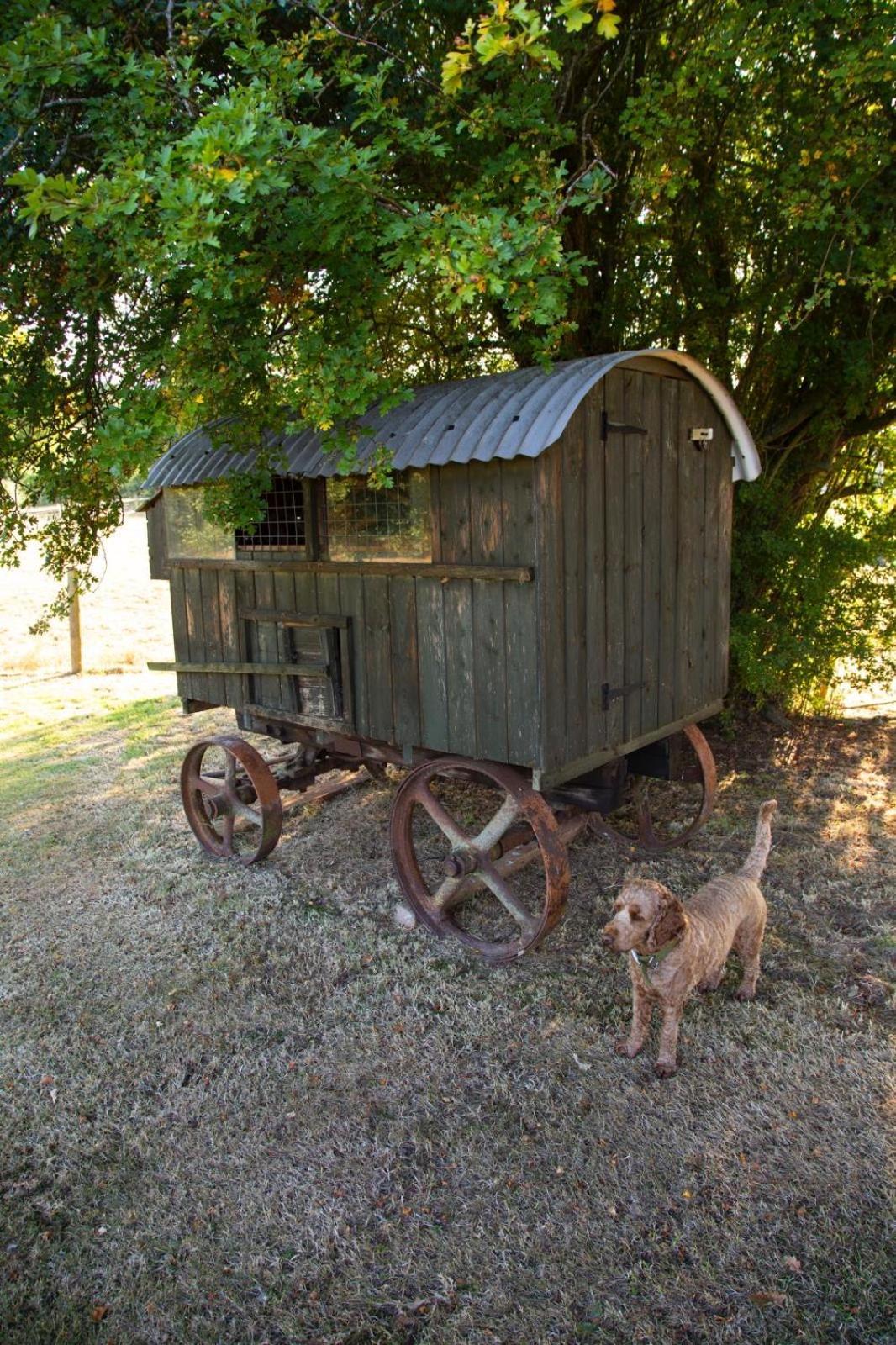 Ebony Cottage Tenbury Buitenkant foto
