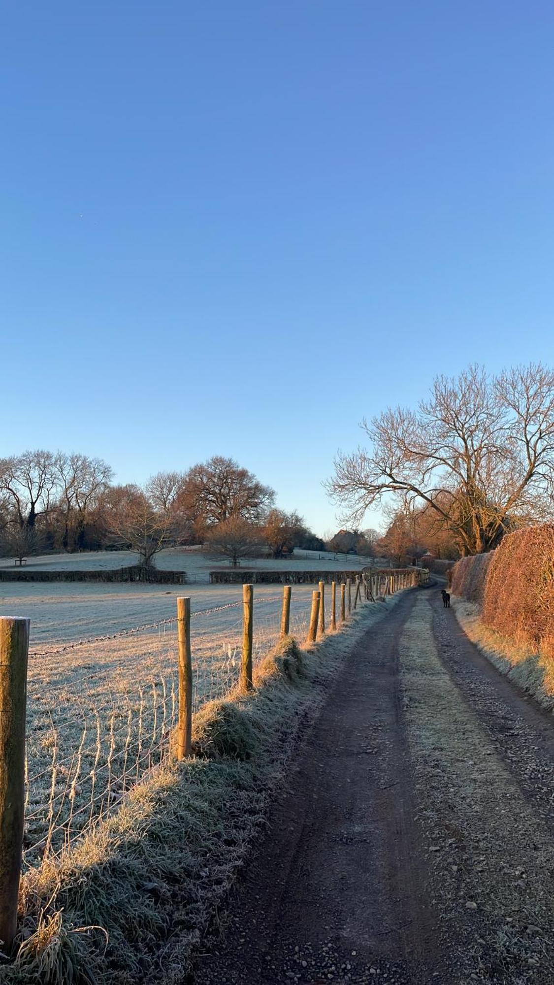 Ebony Cottage Tenbury Buitenkant foto